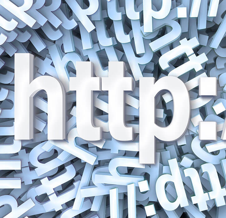Domain Registration & Web Hosting